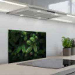 Sparrentakken - Knoppen - Naalden - Groen keuken achterwand spatscherm klein -3d_schuin