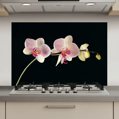 Gestreepte Orchideeën Elegantie keuken achterwand spatscherm klein -3d_website