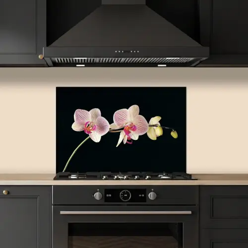 Gestreepte Orchideeën Elegantie keuken achterwand spatscherm klein -sfeer1
