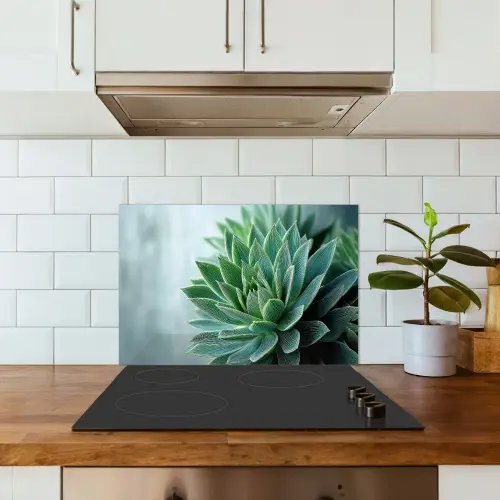 Vetplant - Bladeren - Groen - Wazig keuken achterwand spatscherm klein -sfeer2