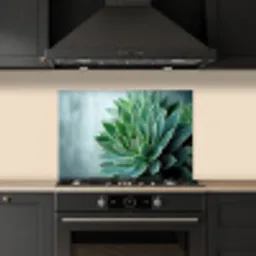 Vetplant - Bladeren - Groen - Wazig keuken achterwand spatscherm klein -sfeer1