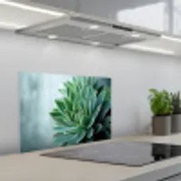Vetplant - Bladeren - Groen - Wazig keuken achterwand spatscherm klein -3d_schuin