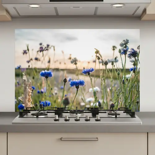 Zomeravond met Korenbloemen keuken achterwand spatscherm klein -3d_website