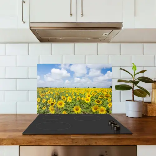 Zonnebloemen - Bloemen - Wolken - Natuur - Geel - Landschap keuken achterwand spatscherm klein -sfeer2