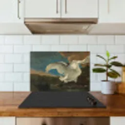 Zwaan - Oude meesters - Jan Asselijn keuken achterwand spatscherm klein -sfeer2