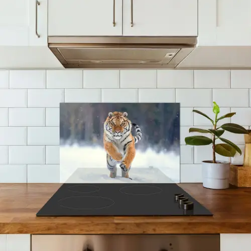 Tijger - Landschap - Sneeuw - Winter - Dieren keuken achterwand spatscherm klein -sfeer2