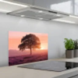 Boom - Heide - Zonsopgang keuken achterwand spatscherm klein -3d_schuin