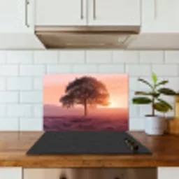 Boom - Heide - Zonsopgang keuken achterwand spatscherm klein -sfeer2