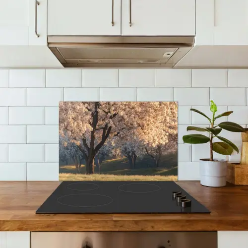 Bomen - Bloesem - Lente keuken achterwand spatscherm klein -sfeer2
