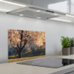 Bomen - Bloesem - Lente keuken achterwand spatscherm klein -3d_schuin
