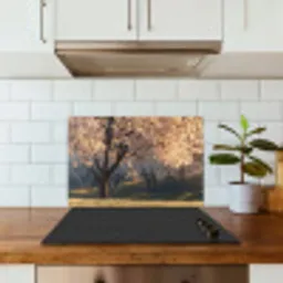 Bomen - Bloesem - Lente keuken achterwand spatscherm klein -sfeer2