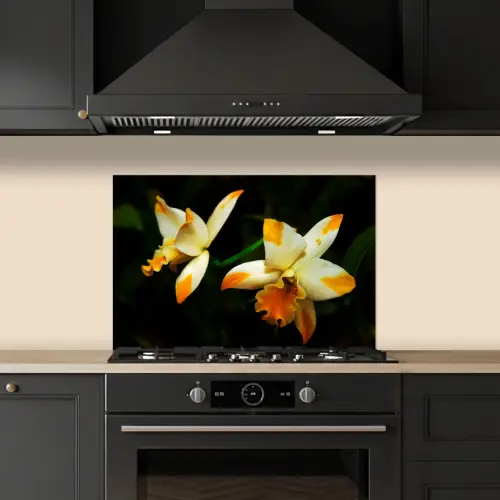 Twee orchideebloemen keuken achterwand spatscherm klein -sfeer1