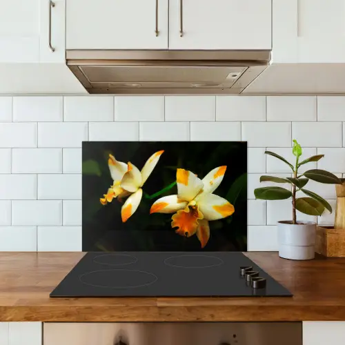Twee orchideebloemen keuken achterwand spatscherm klein -sfeer2