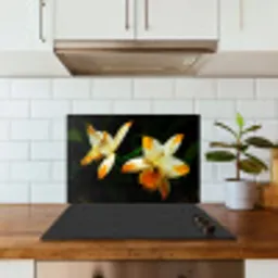 Twee orchideebloemen keuken achterwand spatscherm klein -sfeer2