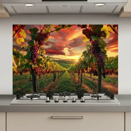 Wijngaard - Druiven - Zonsondergang keuken achterwand spatscherm klein -3d_website