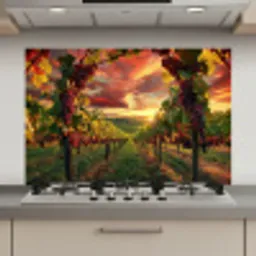 Wijngaard - Druiven - Zonsondergang keuken achterwand spatscherm klein -3d_website