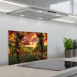 Wijngaard - Druiven - Zonsondergang keuken achterwand spatscherm klein -3d_schuin