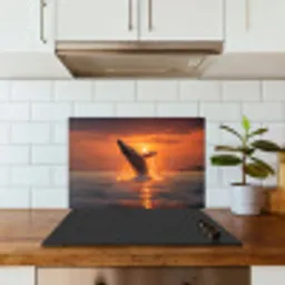 Walvis - Zon - Zee keuken achterwand spatscherm klein -sfeer2