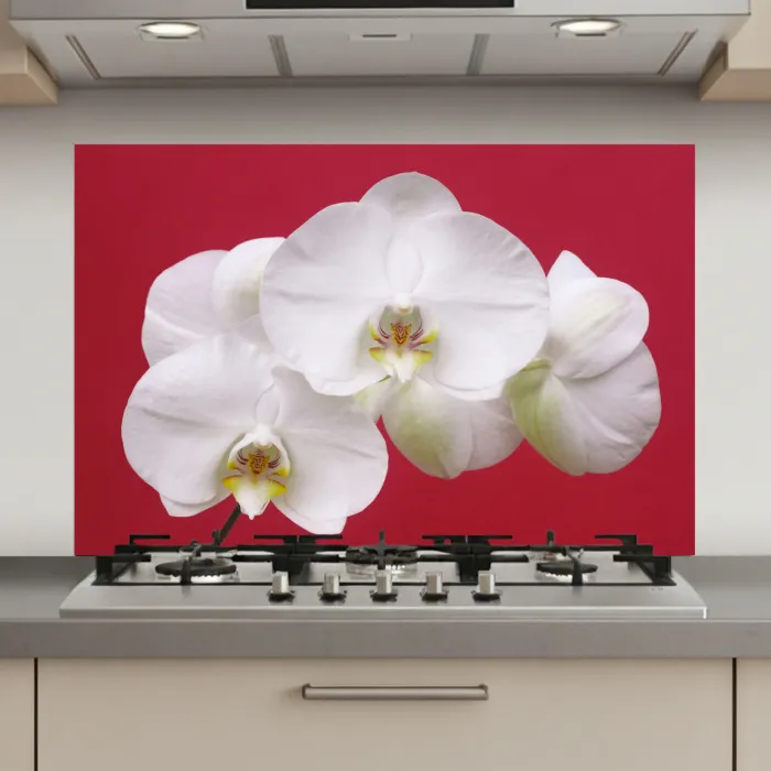 Witte orchidee op rood keuken achterwand spatscherm klein -3d_website