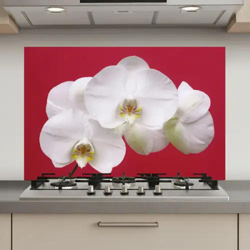 Witte orchidee op rood keuken achterwand spatscherm klein -3d_website