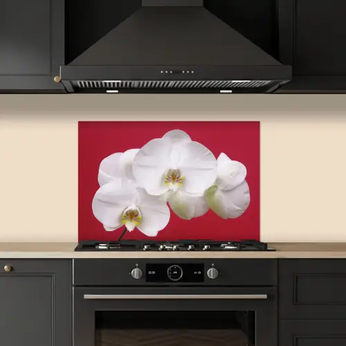Witte orchidee op rood keuken achterwand spatscherm klein -sfeer1