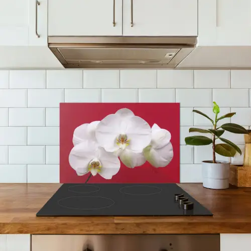 Witte orchidee op rood keuken achterwand spatscherm klein -sfeer2
