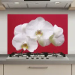 Witte orchidee op rood keuken achterwand spatscherm klein -3d_website