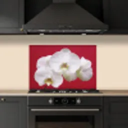 Witte orchidee op rood keuken achterwand spatscherm klein -sfeer1