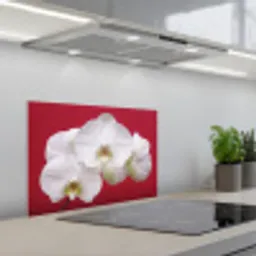 Witte orchidee op rood keuken achterwand spatscherm klein -3d_schuin
