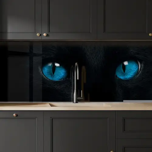 Kat - Blauw - Dier - Zwart keuken achterwand 2 middel -sfeer1