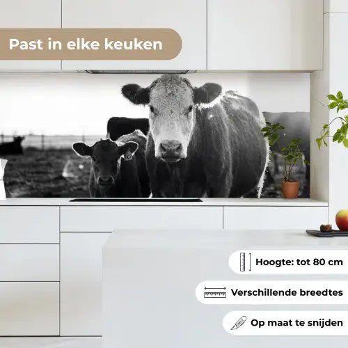 Koeien - Zwart - Wit keuken achterwand 2 middel -sfeer4_NL