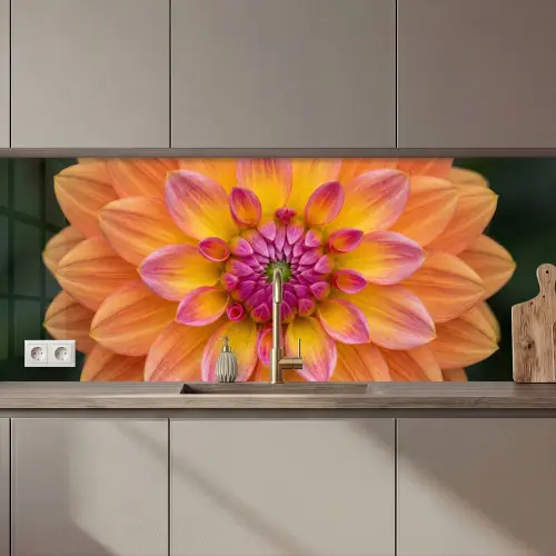 Dahlia - Bloem - Oranje keuken achterwand 2 middel zz_3dshopping
