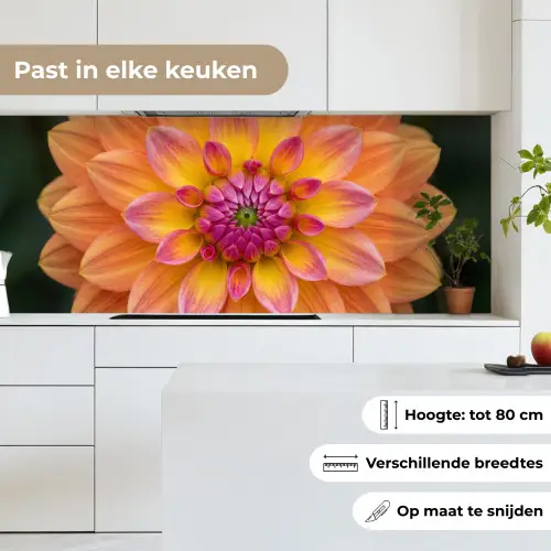 Dahlia - Bloem - Oranje keuken achterwand 2 middel -sfeer4_NL