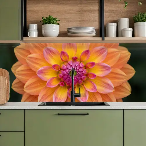 Dahlia - Bloem - Oranje keuken achterwand 2 middel -sfeer3