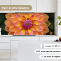 Dahlia - Bloem - Oranje keuken achterwand 2 middel -sfeer4_NL