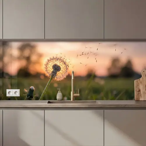 Paardenbloem - Zonsondergang - Veld keuken achterwand 2 middel zz_3dshopping