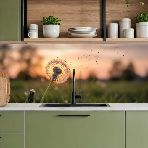 Paardenbloem - Zonsondergang - Veld keuken achterwand 2 middel -sfeer3