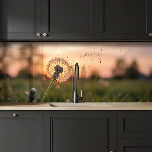 Paardenbloem - Zonsondergang - Veld keuken achterwand 2 middel -sfeer1