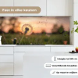 Paardenbloem - Zonsondergang - Veld keuken achterwand 2 middel -sfeer4_NL