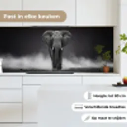 Olifant - Zwart - Wit - Rook keuken achterwand 2 middel -sfeer4_NL