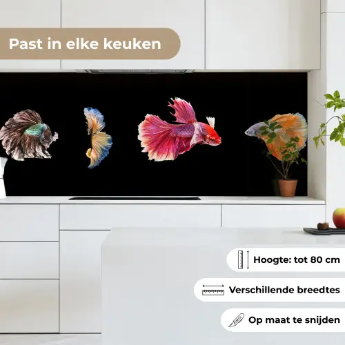 Vissen - Kleurrijk - Dieren keuken achterwand 2 middel -sfeer4_NL
