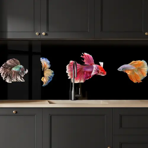 Vissen - Kleurrijk - Dieren keuken achterwand 2 middel -sfeer1