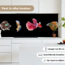 Vissen - Kleurrijk - Dieren keuken achterwand 2 middel -sfeer4_NL