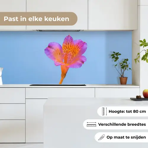 Bloem - Detail - Kleurrijk keuken achterwand 2 middel -sfeer4_NL