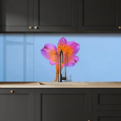 Bloem - Detail - Kleurrijk keuken achterwand 2 middel -sfeer1