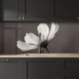 Bloem - Minimalistisch - Zwart - Wit keuken achterwand 2 middel -sfeer1