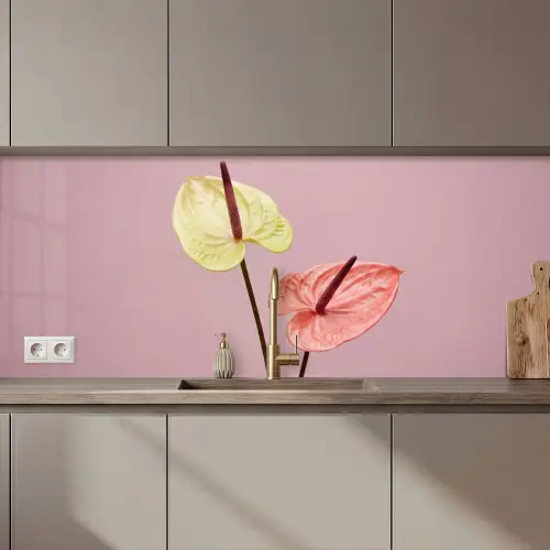 Bloemen - Anthuriums - Geel - Roze keuken achterwand 2 middel zz_3dshopping