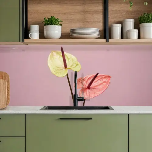 Bloemen - Anthuriums - Geel - Roze keuken achterwand 2 middel -sfeer3