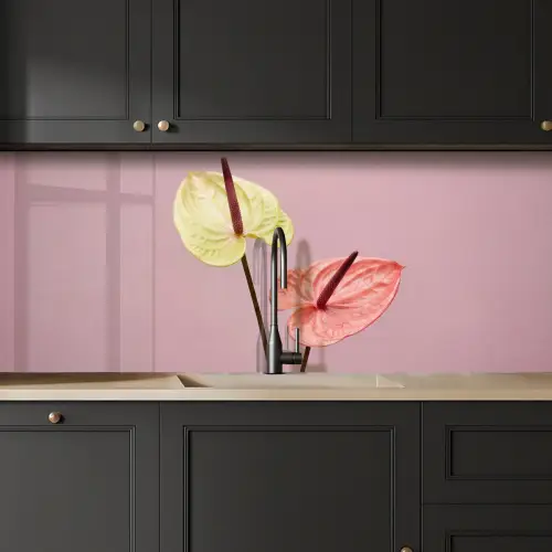Bloemen - Anthuriums - Geel - Roze keuken achterwand 2 middel -sfeer1