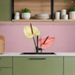 Bloemen - Anthuriums - Geel - Roze keuken achterwand 2 middel -sfeer3